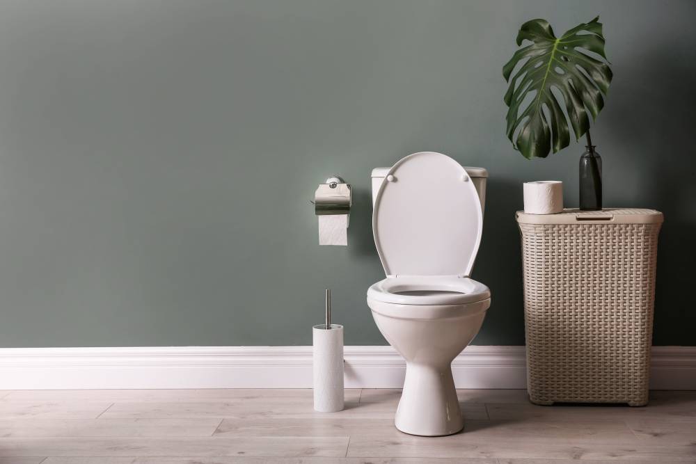 toilettes près de Plescop